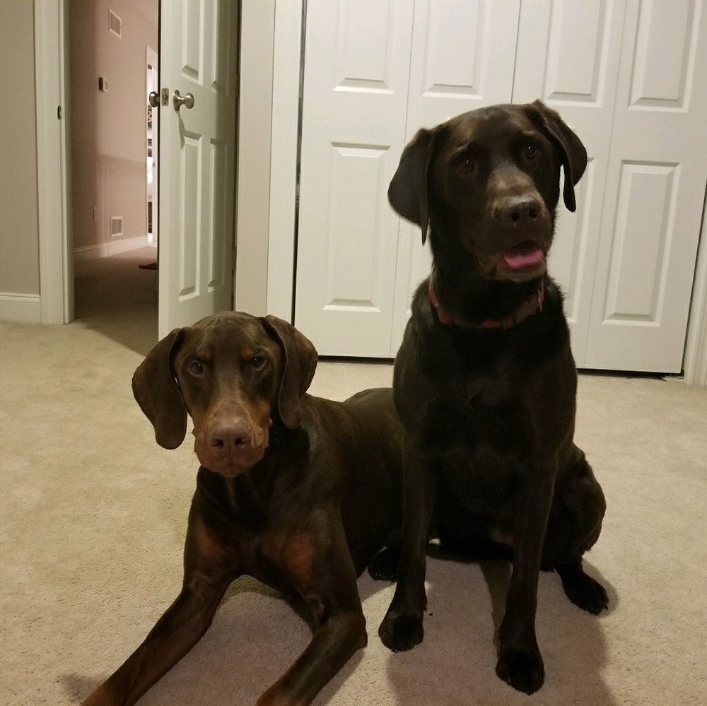 Meet your Posher, Alyson